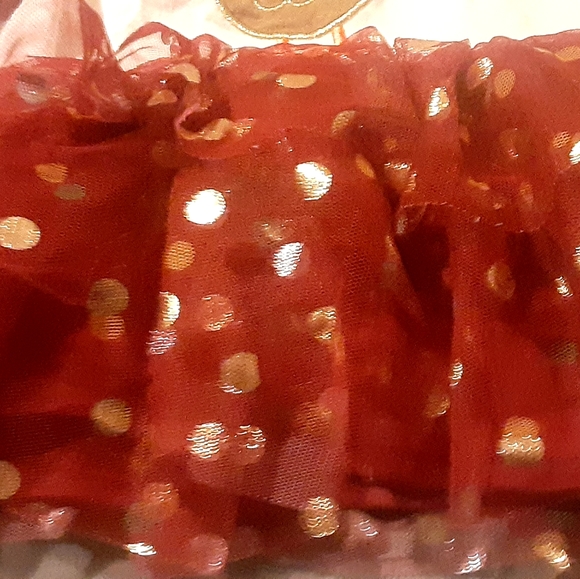 Little Las 3t Thanksgiving top - Picture 3 of 5